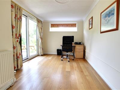 Picture 7
